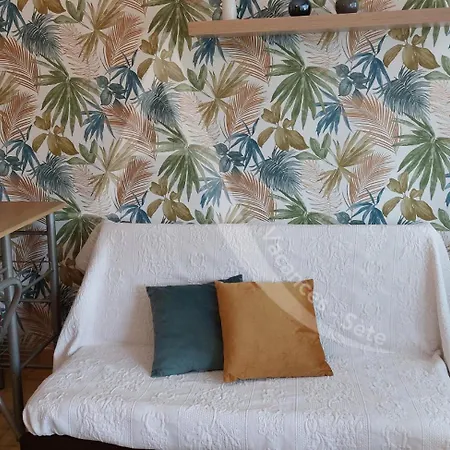 T2 Quartier Quilles Renove Avec Gout Wifi 4 Personnes דירה *
