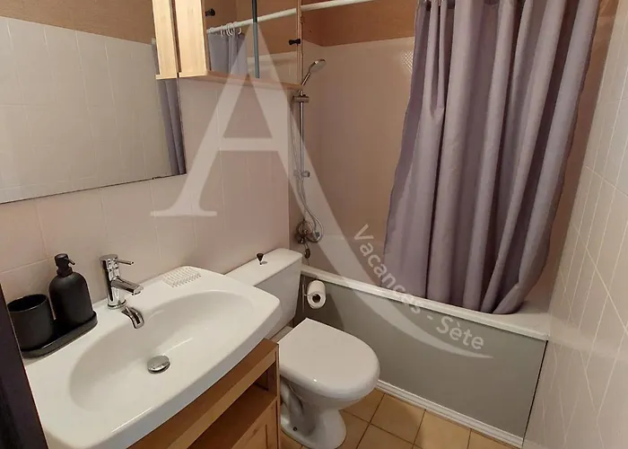 דירה T2 Quartier Quilles Renove Avec Gout Wifi 4 Personnes