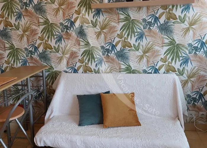 T2 Quartier Quilles Renove Avec Gout Wifi 4 Personnes דירה *